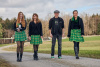 Irish Charms 